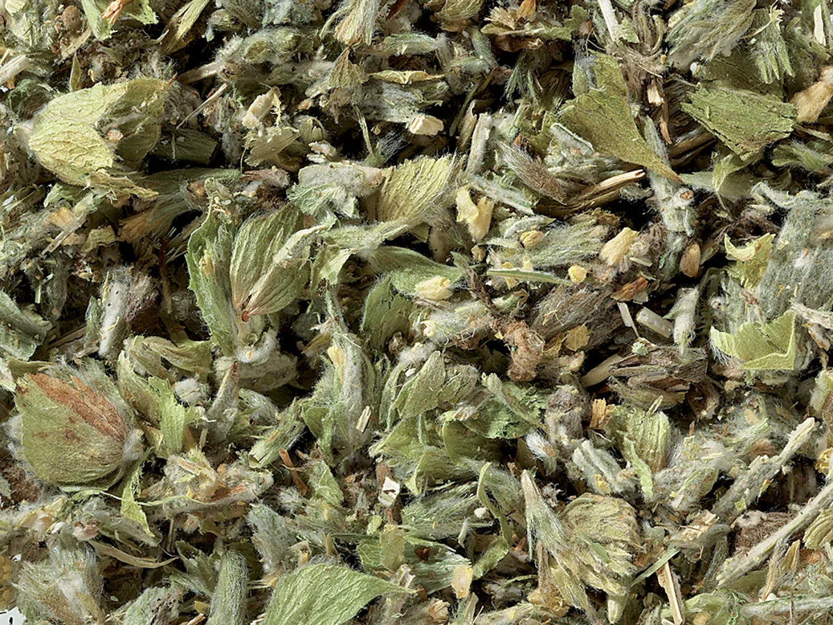 Griechischer Bergtee - geschnitten - 1 kg
